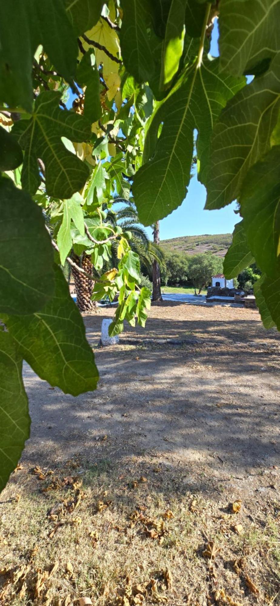 Quinta Da Utopia Castelo de Vide Exterior foto